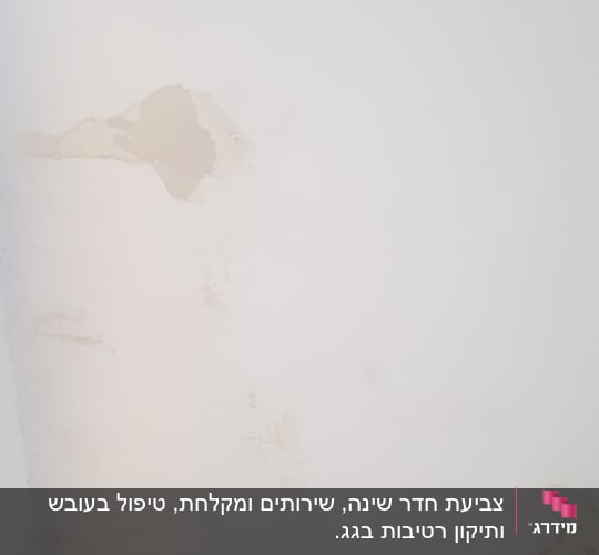 קיר עם קילופי צבע ותיקונים נדרשים